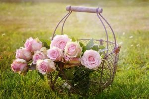 roses in wire basket