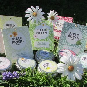 Field Fresh Skincare blend-it-yourself kits