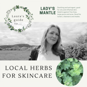 Lady's Mantle for skincare video
