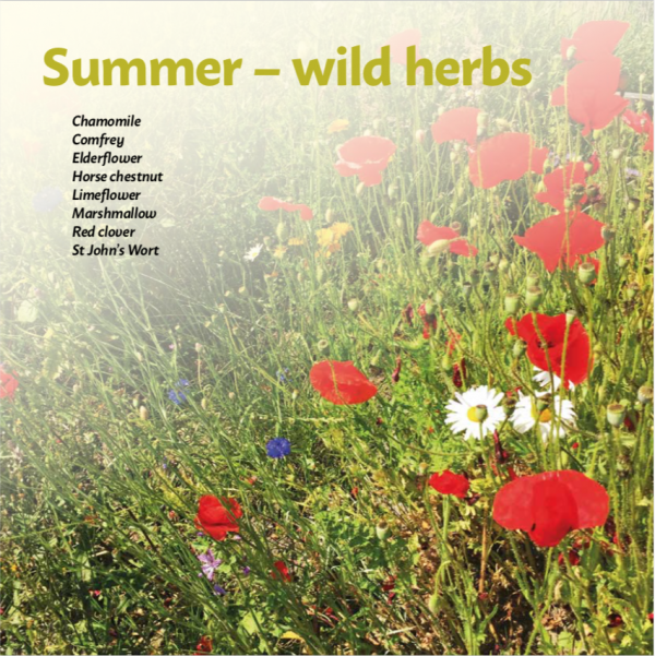 Title Page from Summer wild herbs in Vital Skincare by Laura Pardoe