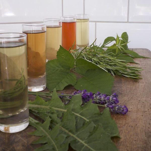 Array of herbal infusions